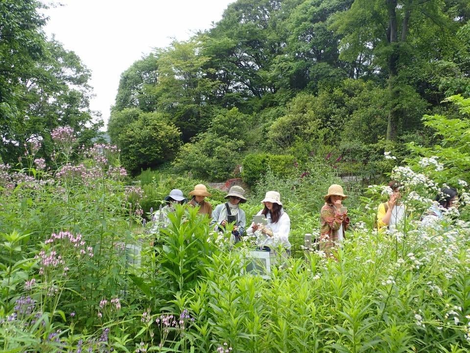 広島植物公園での植物観察会