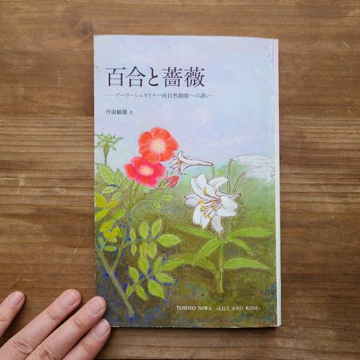 Amazon.co.jp: 植物への新しいまなざし ゲーテ＝シュタイナー的